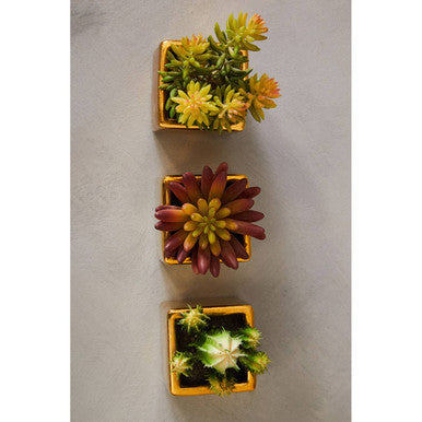 Orsina Fiori Set of 3 Mini Artificial Succulents with Gold Pots