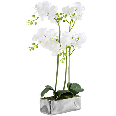 Orsina Fiori White Orchid Plant - Faux Phalaenopsis in Silver Pot