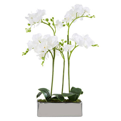 Orsina Fiori White Orchid Plant - Faux Phalaenopsis in Silver Pot