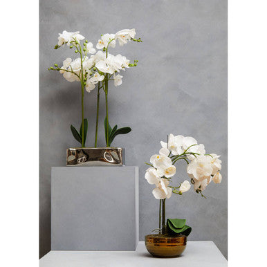 Orsina Fiori White Orchid Plant - Faux Phalaenopsis in Silver Pot
