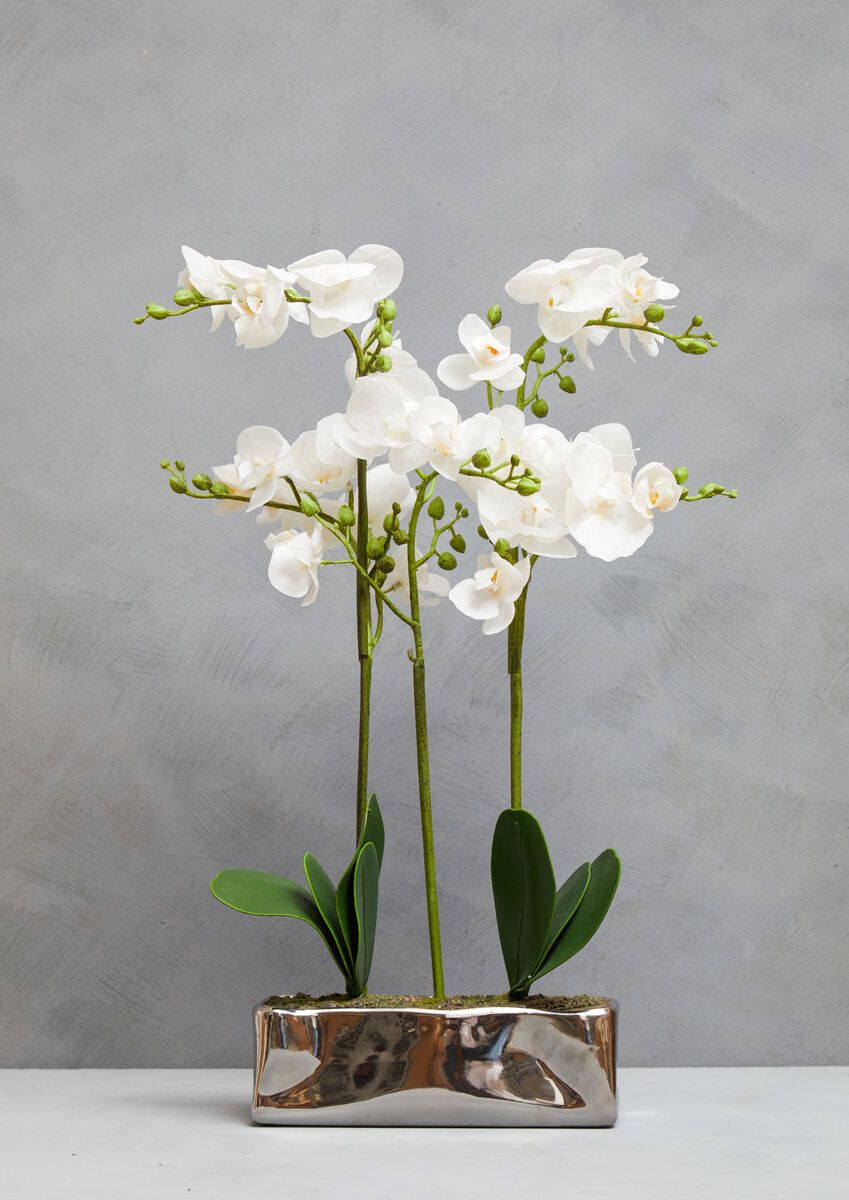 Orsina Fiori White Orchid Plant - Faux Phalaenopsis in Silver Pot