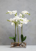 Orsina Fiori White Orchid Plant - Faux Phalaenopsis in Silver Pot