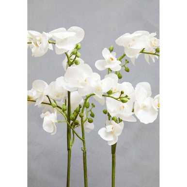 Orsina Fiori White Orchid Plant - Faux Phalaenopsis in Silver Pot