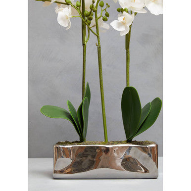 Orsina Fiori White Orchid Plant - Faux Phalaenopsis in Silver Pot