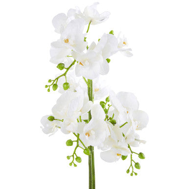Orsina Fiori White Orchid Plant - Faux Phalaenopsis in Silver Pot