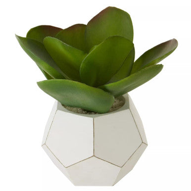 Orsina Fiori White Geometric Cement Pot with Faux Succulent Plant