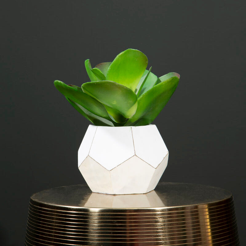 Orsina Fiori White Geometric Cement Pot with Faux Succulent Plant