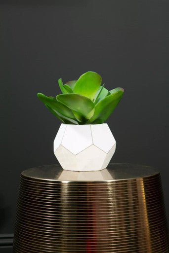 Orsina Fiori White Geometric Cement Pot with Faux Succulent Plant