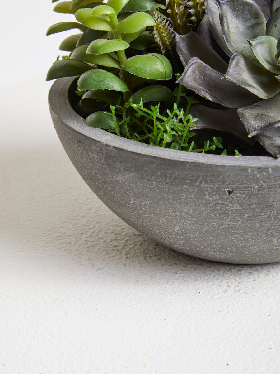 Orsina Fiori Mixed Artificial Succulents in Grey Stone Effect Pot