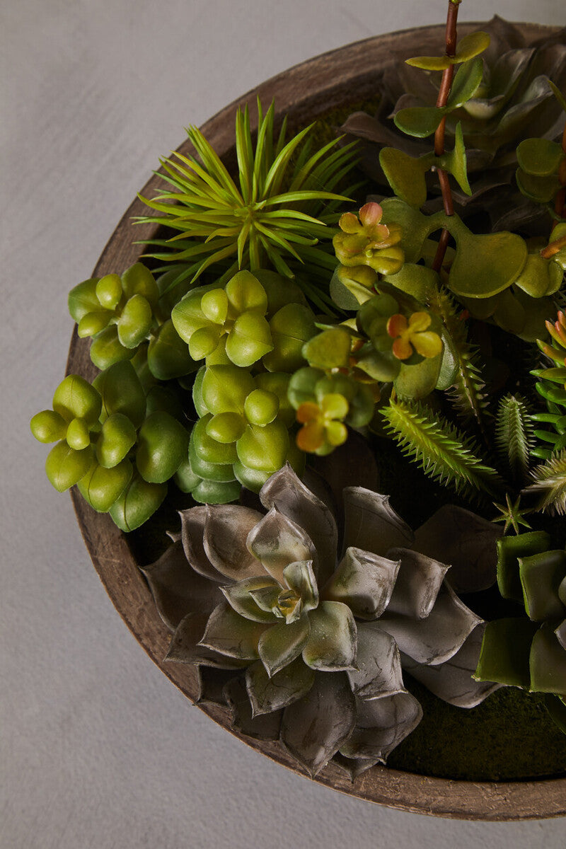 Orsina Fiori Mixed Artificial Succulents in Grey Stone Effect Pot