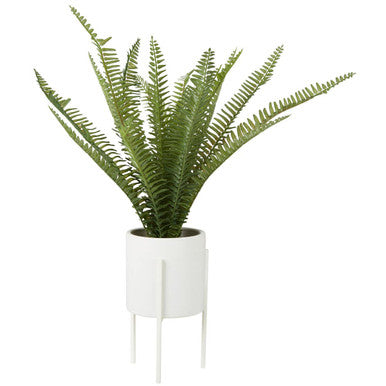 Orsina Artificial Fiori Fern in White Cement Pot with Iron Stand