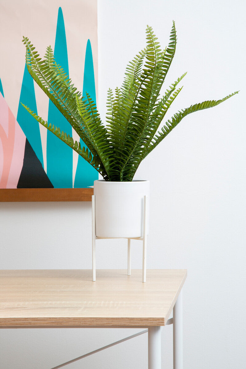 Orsina Artificial Fiori Fern in White Cement Pot with Iron Stand