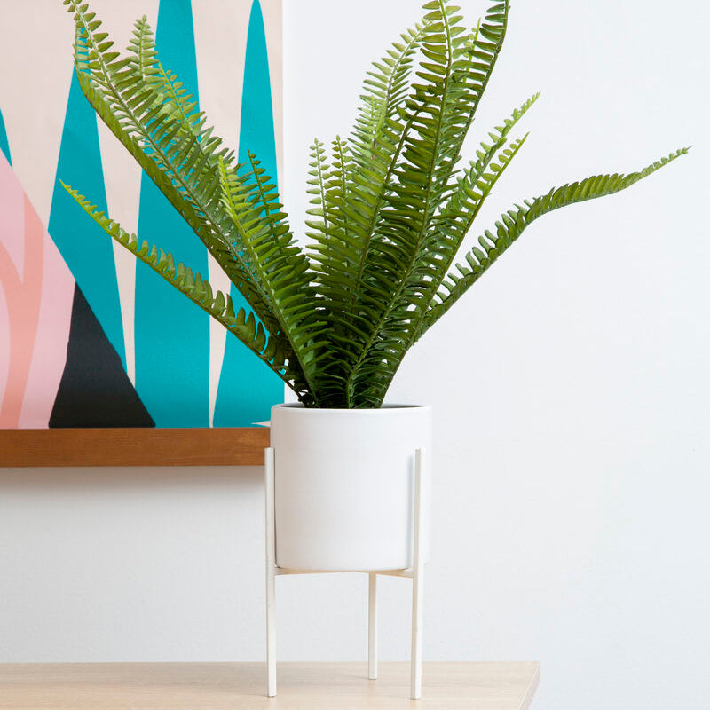 Orsina Artificial Fiori Fern in White Cement Pot with Iron Stand