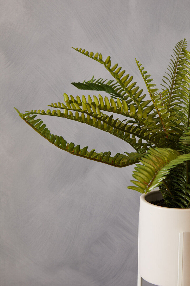 Orsina Artificial Fiori Fern in White Cement Pot with Iron Stand
