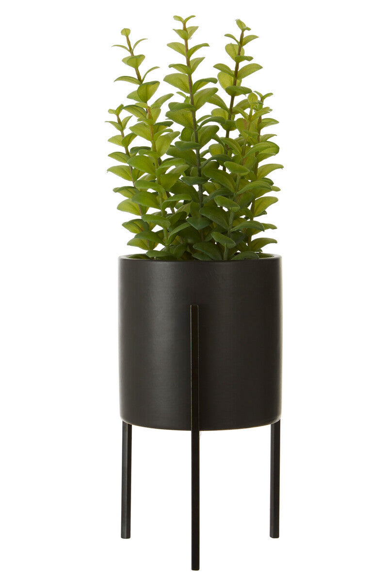 Orsina Fiori Artificial Thyme – Mid-Century Black Pot with Iron Stand