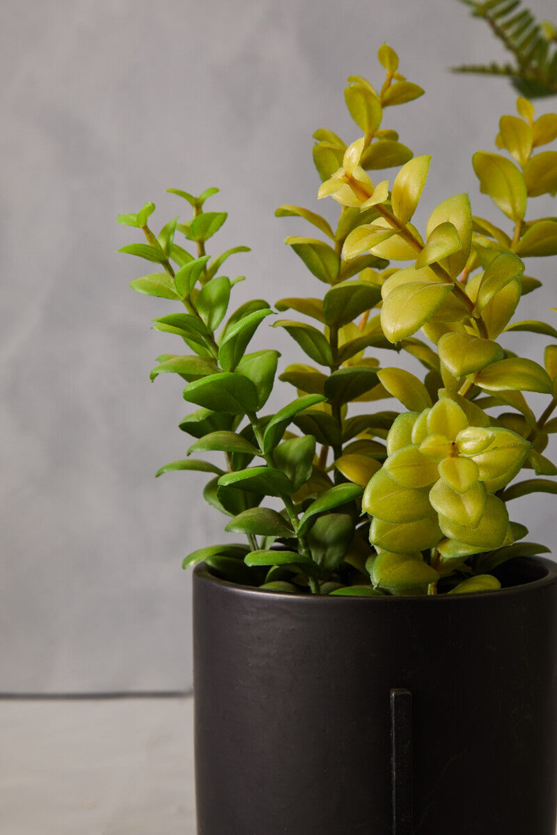 Orsina Fiori Artificial Thyme – Mid-Century Black Pot with Iron Stand