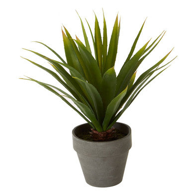 Orsina Fiori Agave Artificial Succulent in Grey Cement Effect Pot