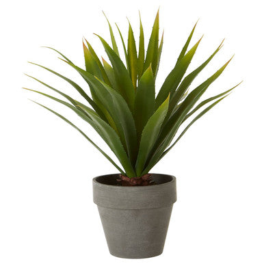 Orsina Fiori Agave Artificial Succulent in Grey Cement Effect Pot