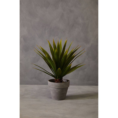 Orsina Fiori Agave Artificial Succulent in Grey Cement Effect Pot