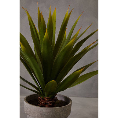 Orsina Fiori Agave Artificial Succulent in Grey Cement Effect Pot