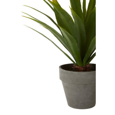 Orsina Fiori Agave Artificial Succulent in Grey Cement Effect Pot