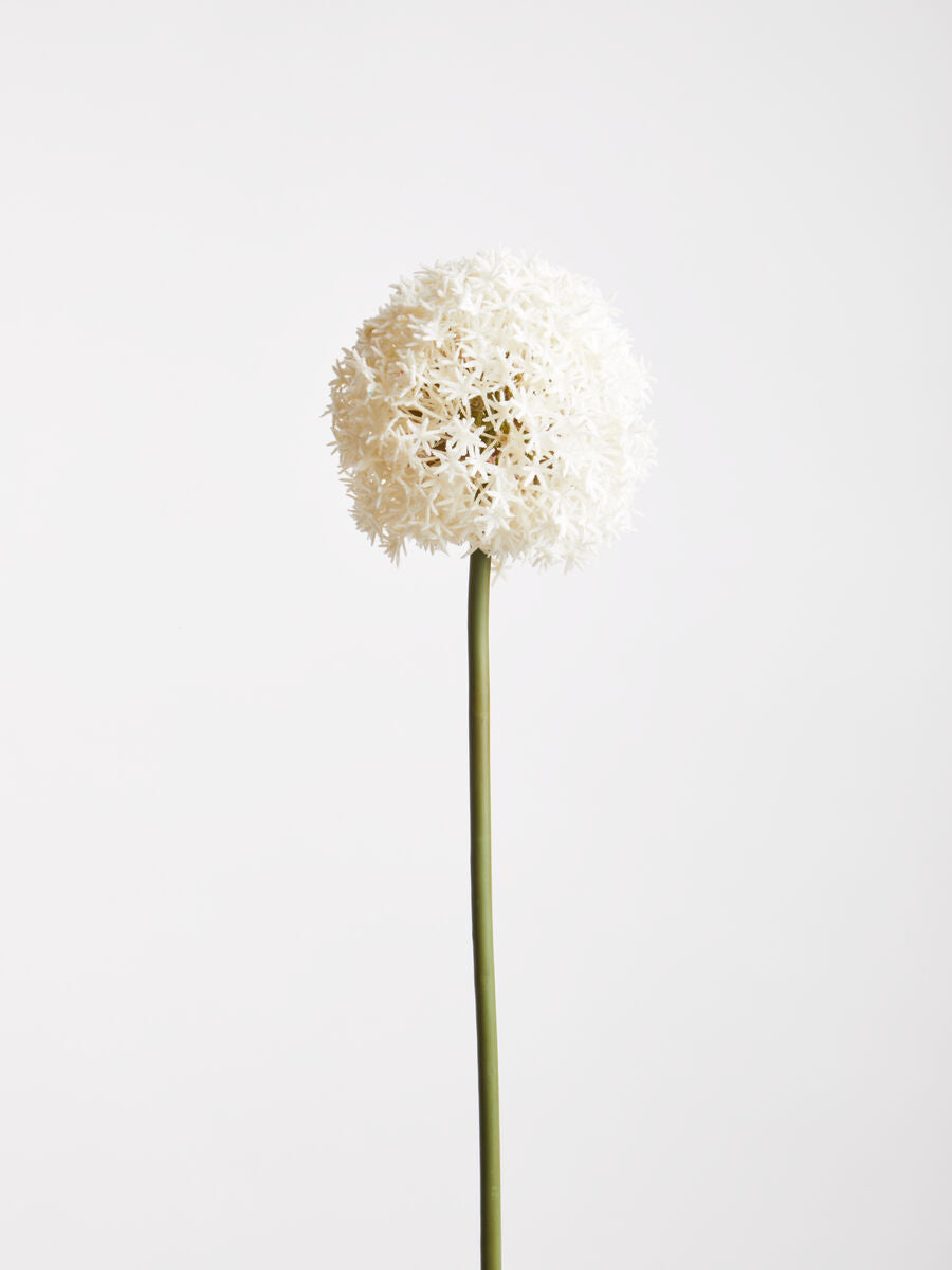 Orsina Fiori Ivory Allium Flower Stem – Faux Minimalist Floral Decor