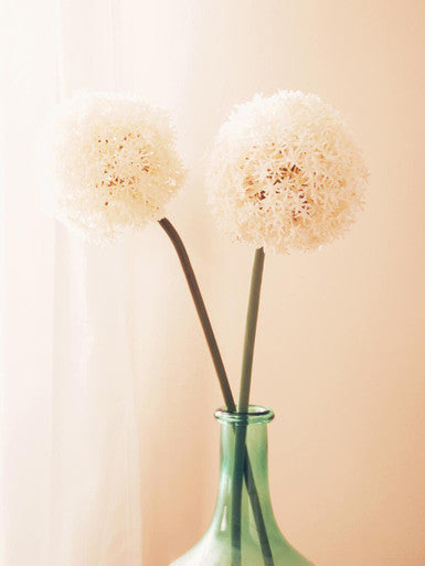 Orsina Fiori Ivory Allium Flower Stem – Faux Minimalist Floral Decor
