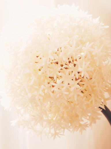Orsina Fiori Ivory Allium Flower Stem – Faux Minimalist Floral Decor