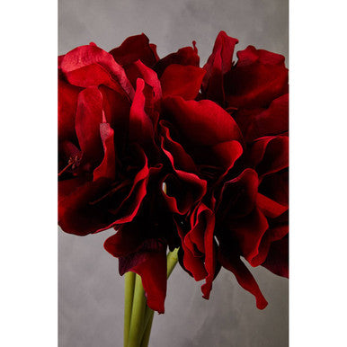Orsina Fiori Burgundy Amaryllis Flower Stem | 72cm Faux Floral
