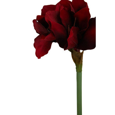 Orsina Fiori Burgundy Amaryllis Flower Stem | 72cm Faux Floral