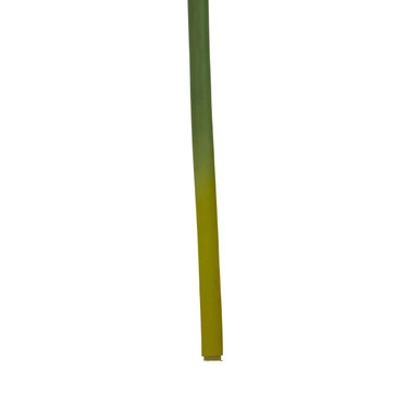 Orsina Fiori Burgundy Amaryllis Flower Stem | 72cm Faux Floral