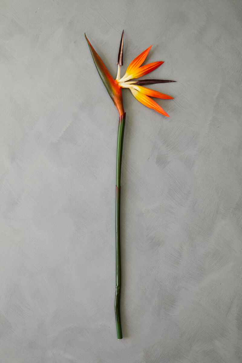 Orsina Artificial Bird of Paradise Flower Stem – 92cm Tall Orange