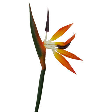 Orsina Artificial Bird of Paradise Flower Stem – 92cm Tall Orange