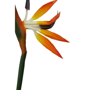 Orsina Artificial Bird of Paradise Flower Stem – 92cm Tall Orange