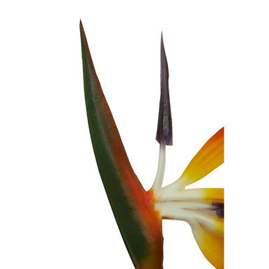 Orsina Artificial Bird of Paradise Flower Stem – 92cm Tall Orange