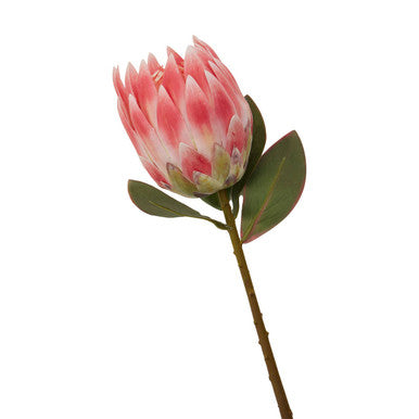 Orsina Fiori Pink Protea Flower Stem – 62cm Realistic Artificial Floral