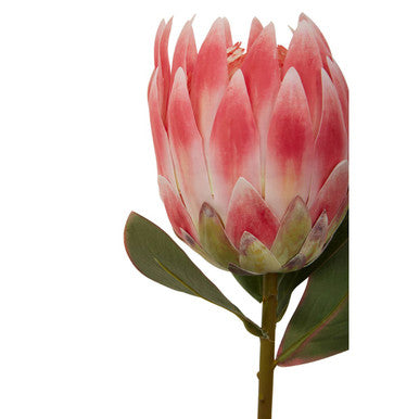 Orsina Fiori Pink Protea Flower Stem – 62cm Realistic Artificial Floral
