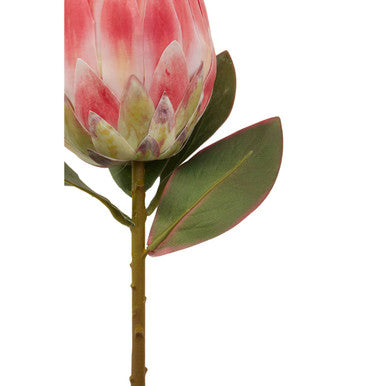 Orsina Fiori Pink Protea Flower Stem – 62cm Realistic Artificial Floral