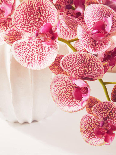 Orsina Fiori Tall Pink Orchid Spray – 100cm Artificial Flower Stem