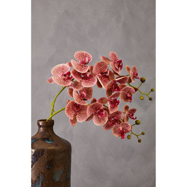 Orsina Fiori Tall Pink Orchid Spray – 100cm Artificial Flower Stem