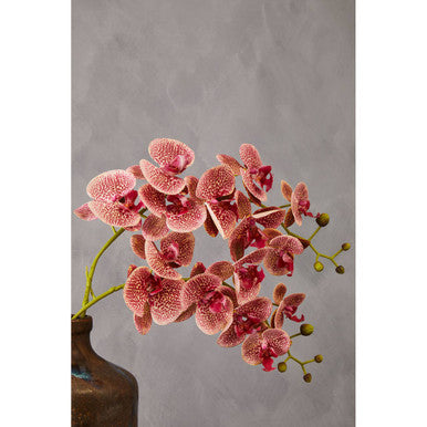 Orsina Fiori Tall Pink Orchid Spray – 100cm Artificial Flower Stem