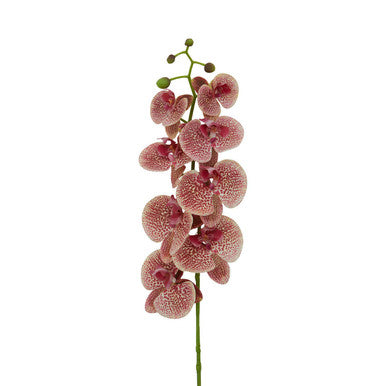 Orsina Fiori Tall Pink Orchid Spray – 100cm Artificial Flower Stem