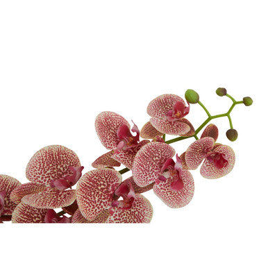 Orsina Fiori Tall Pink Orchid Spray – 100cm Artificial Flower Stem