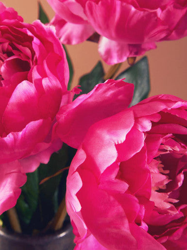 Orsina Fiori Fuchsia Peony Flower Stem – 65cm Realistic Faux Floral