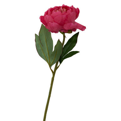 Orsina Fiori Fuchsia Peony Flower Stem – 65cm Realistic Faux Floral
