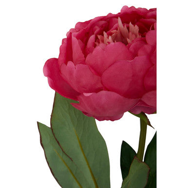 Orsina Fiori Fuchsia Peony Flower Stem – 65cm Realistic Faux Floral