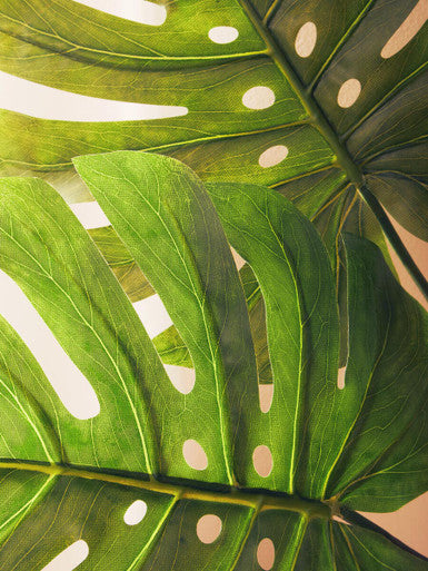 Orsina Fiori Tall Monstera Palm Stem – 109cm Green Faux Botanical