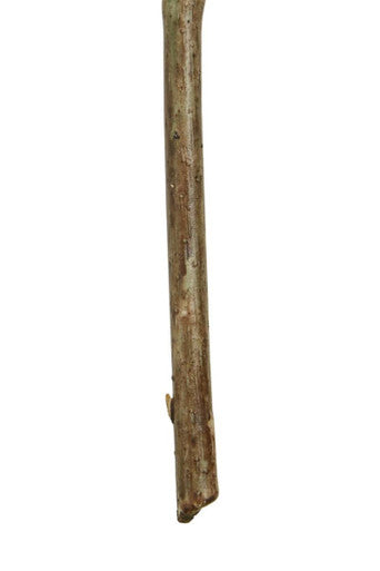 Orsina Fiori Green Hop Flower Spray Stem – Faux Pale Lime Botanical