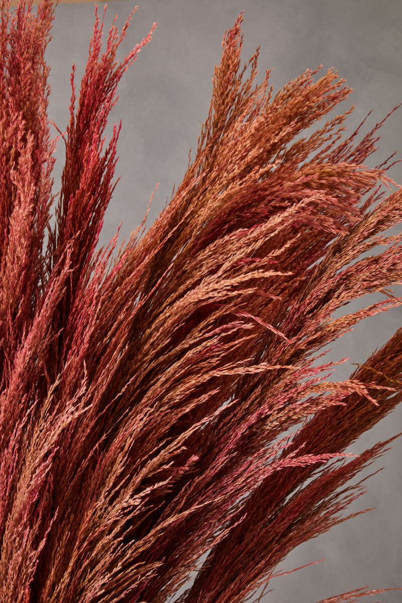 Orsina Fiori Tall Pink Pampas Grass Stem – 110cm Faux Dried Floral