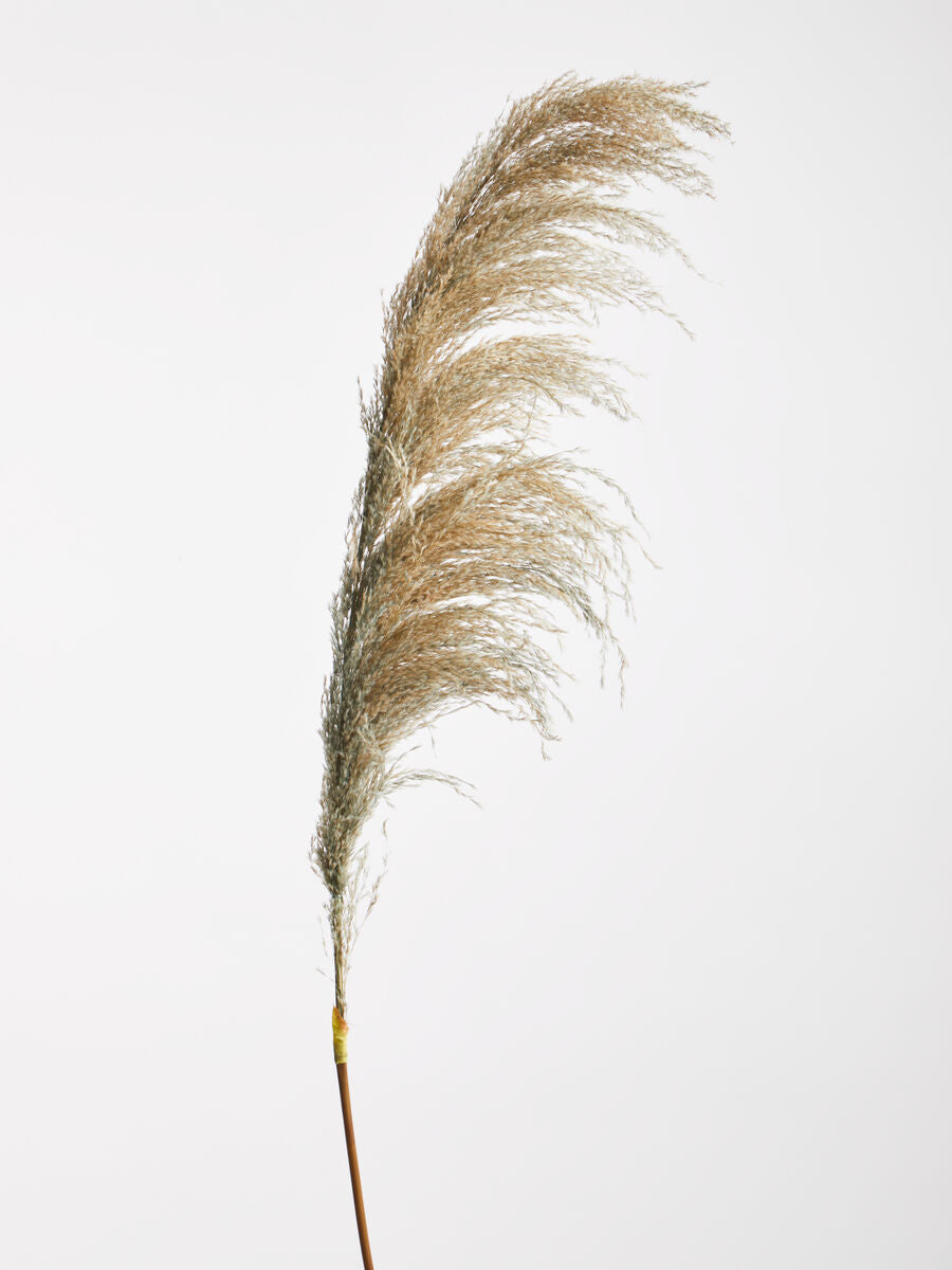 Orsina Blue Tall Pampas Grass Stem – Bendable Dried Floral Decor